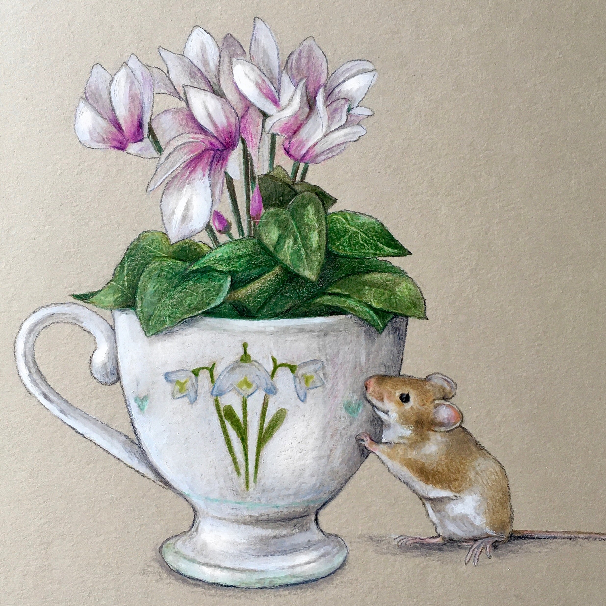 Emily Duffin Country Illustrations