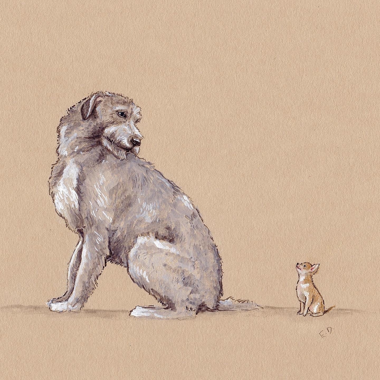 Emily Duffin Country Illustrations