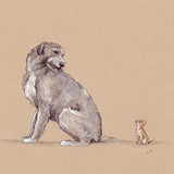 Emily Duffin Country Illustrations