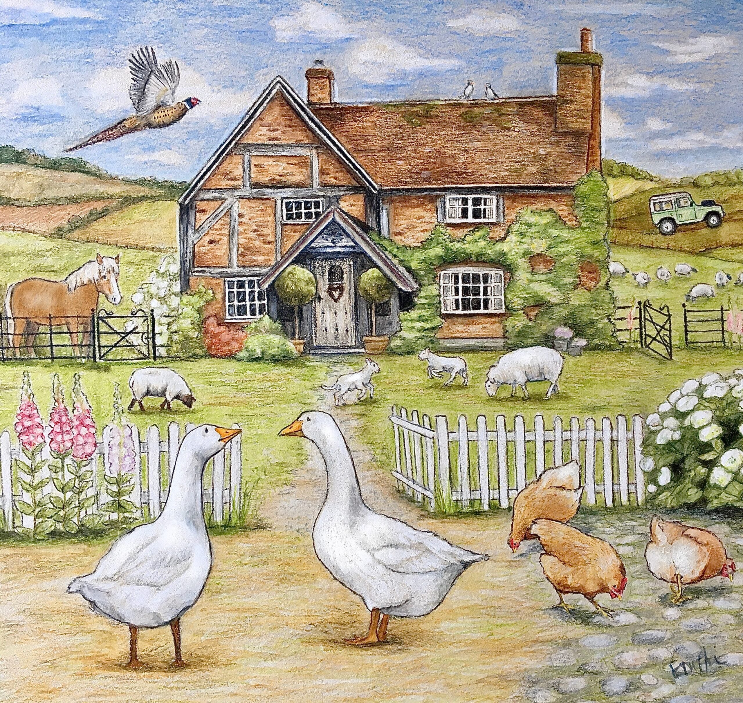 Emily Duffin Country Illustrations