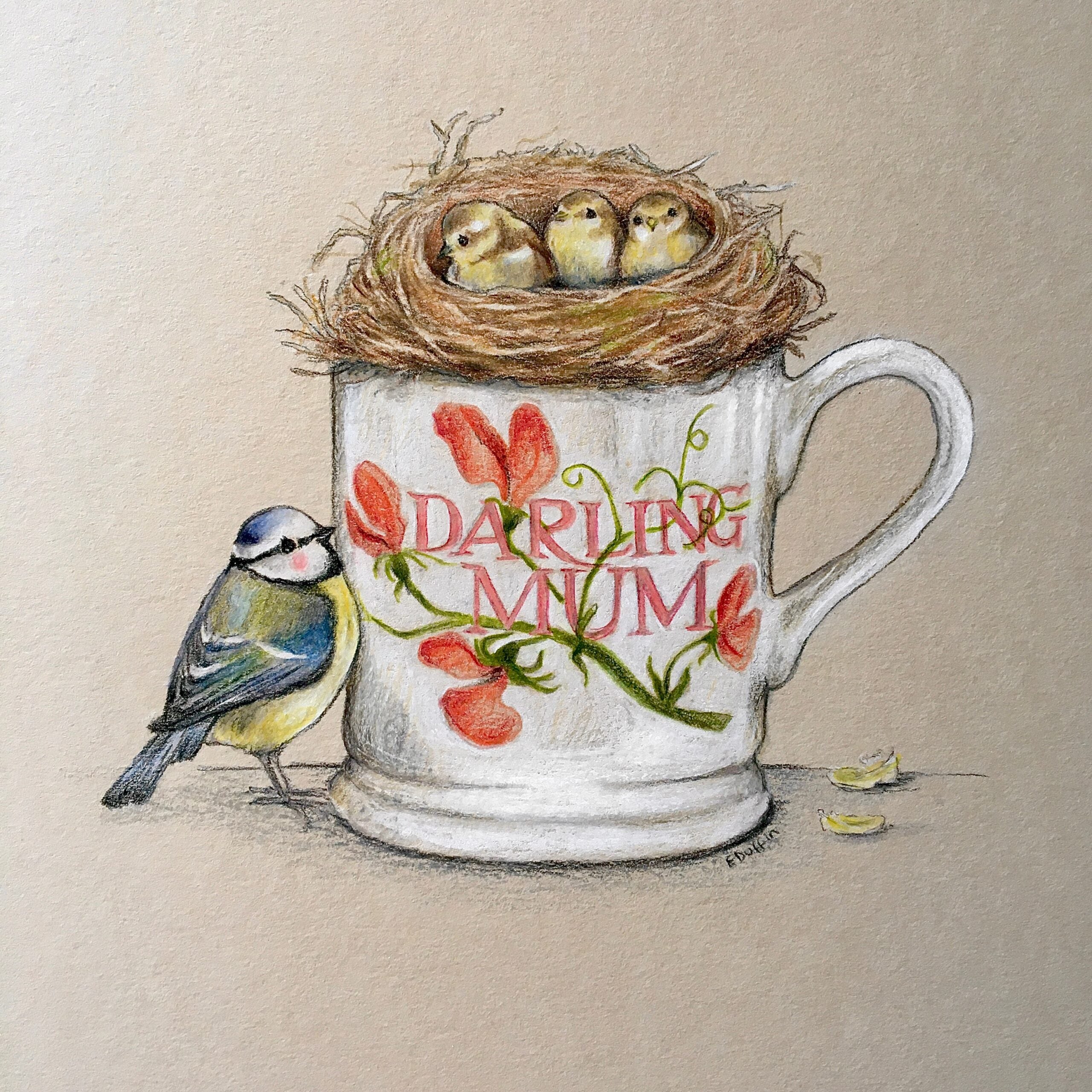 Emily Duffin Country Illustrations