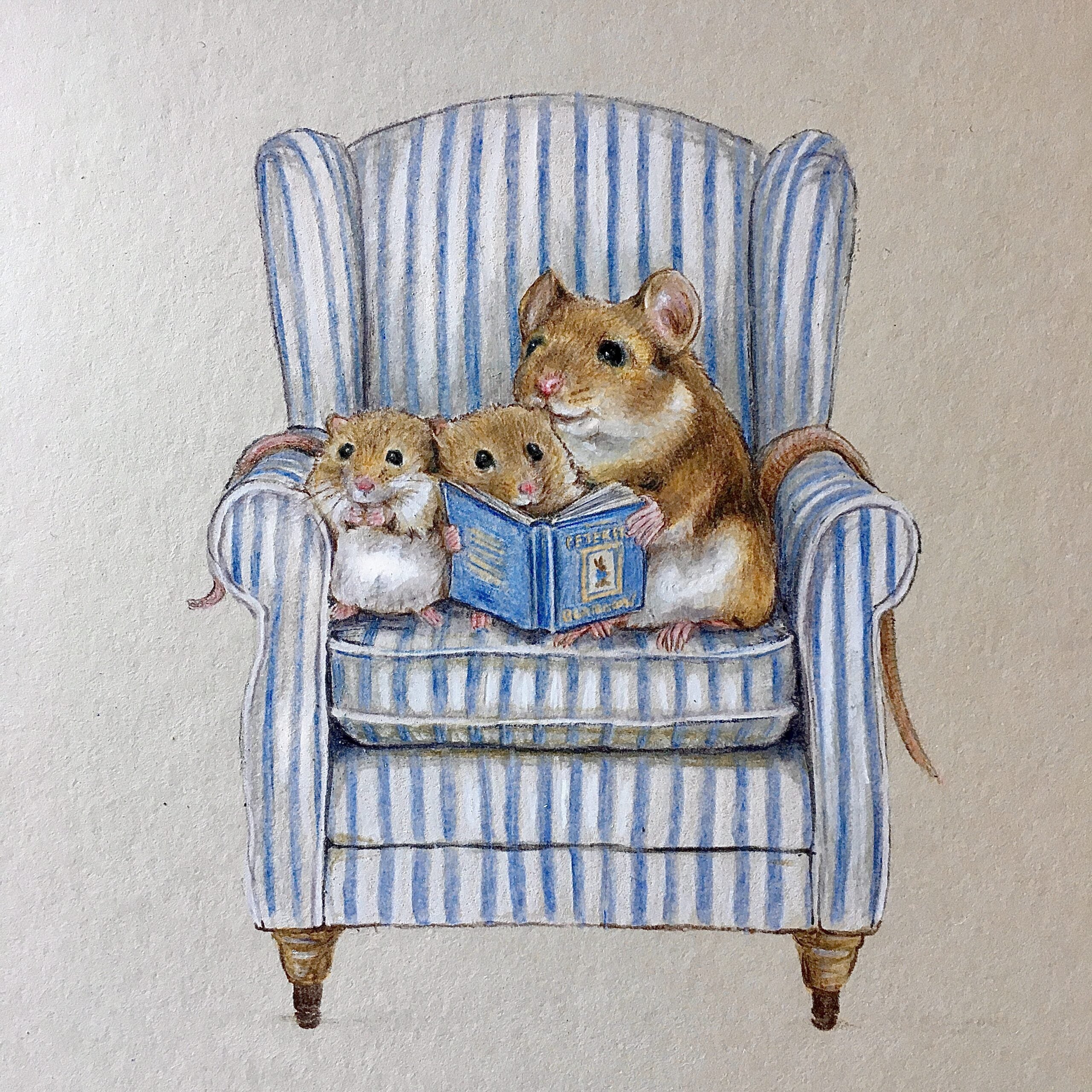 Emily Duffin Country Illustrations