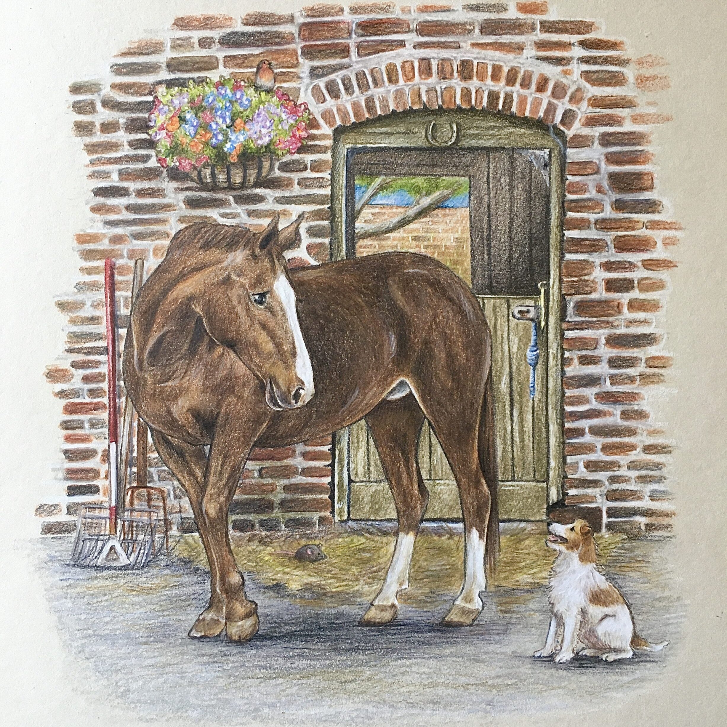 Emily Duffin Country Illustrations