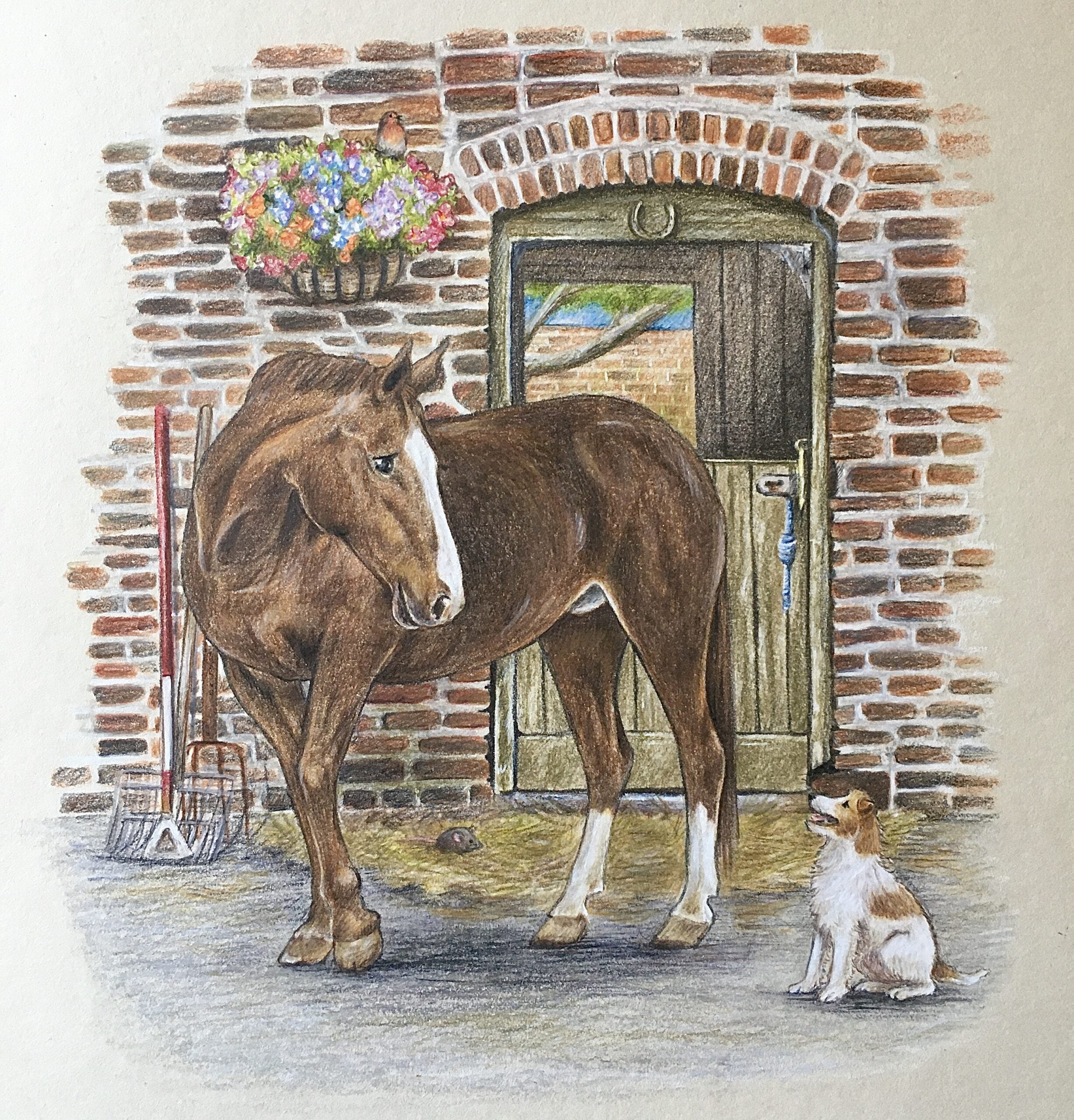 Emily Duffin Country Illustrations