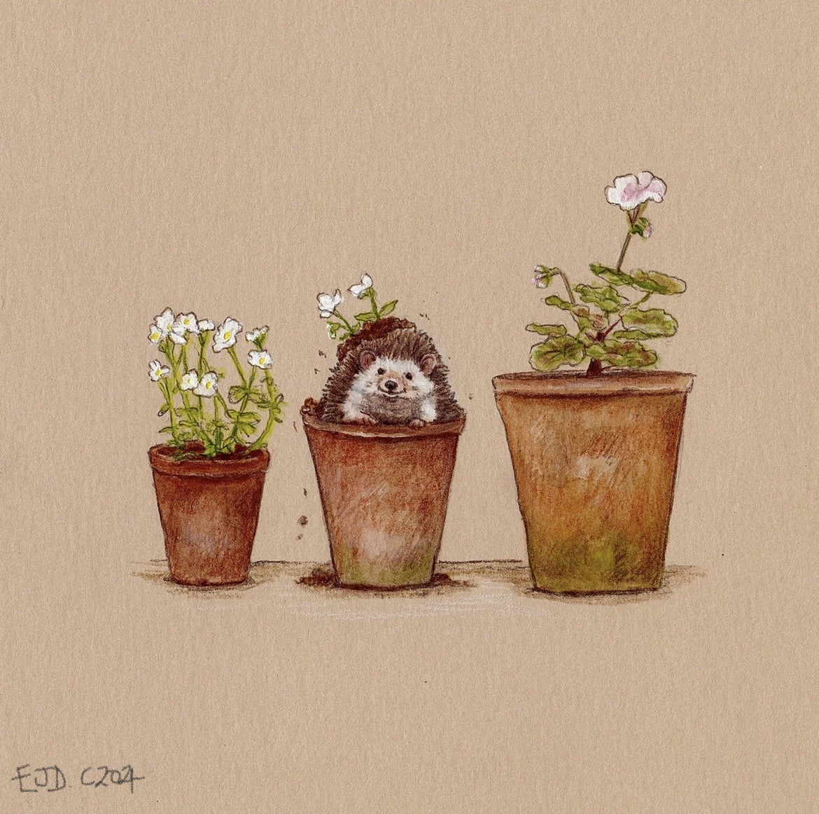 Emily Duffin Country Illustration