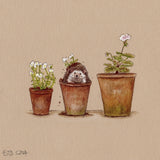 Emily Duffin Country Illustration