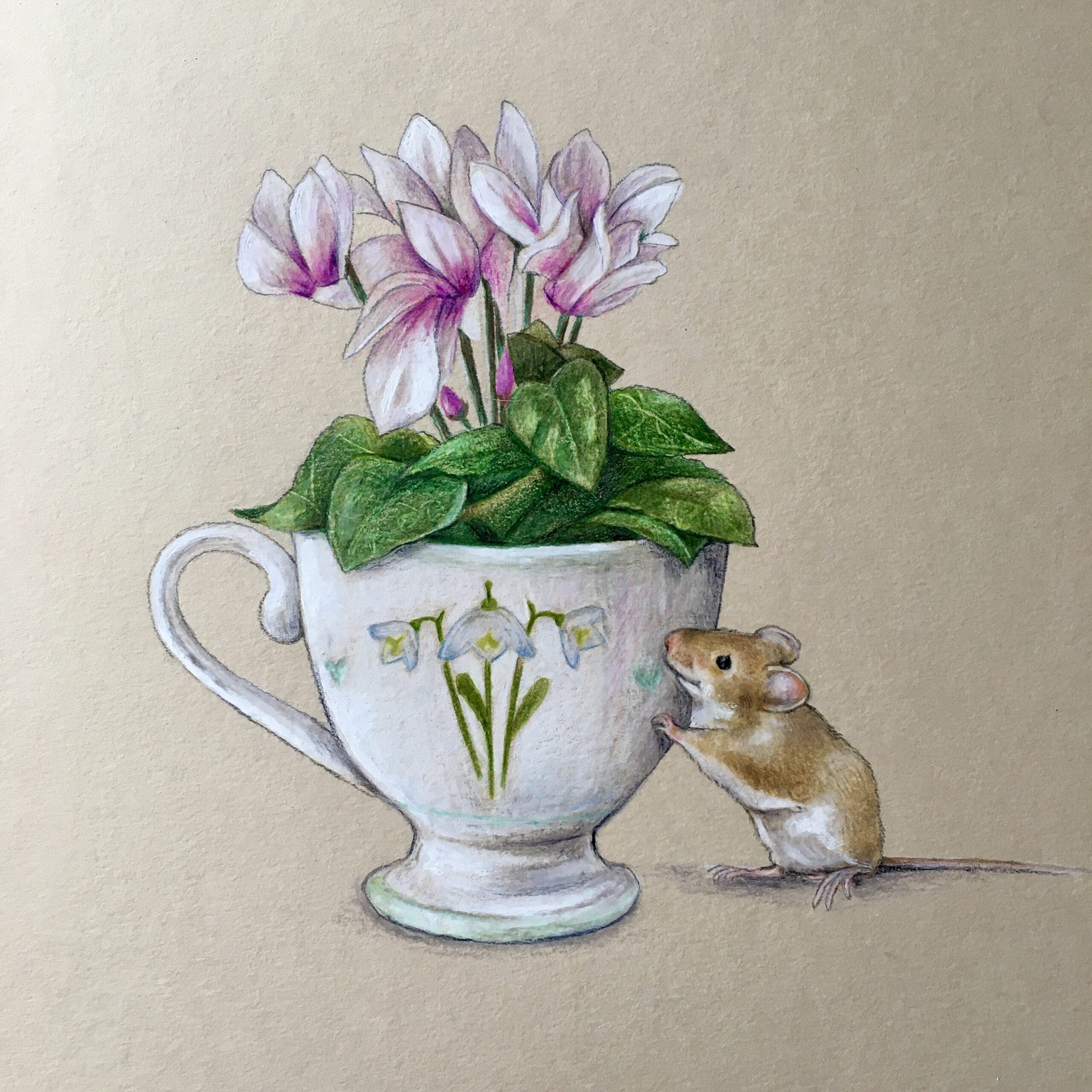 Fine Art Print - Snowdrops and Cyclamen