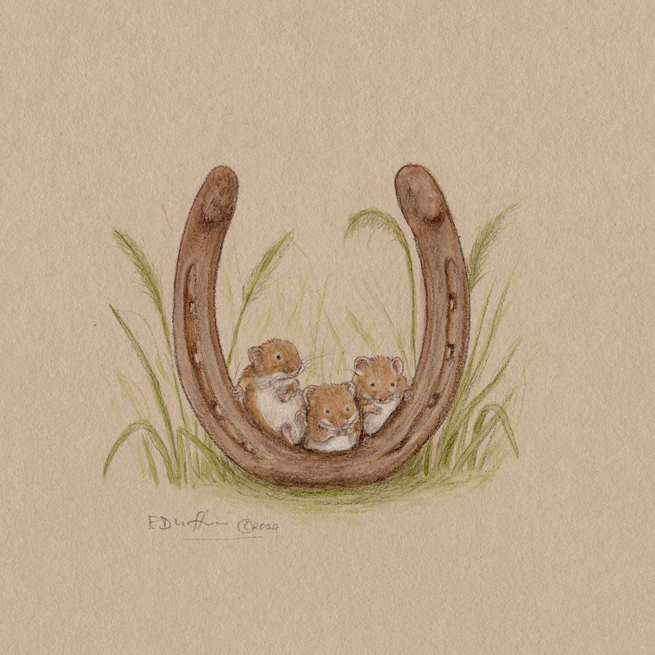 Emily Duffin Country Illustration