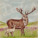 Emily Duffin Country Illustrations