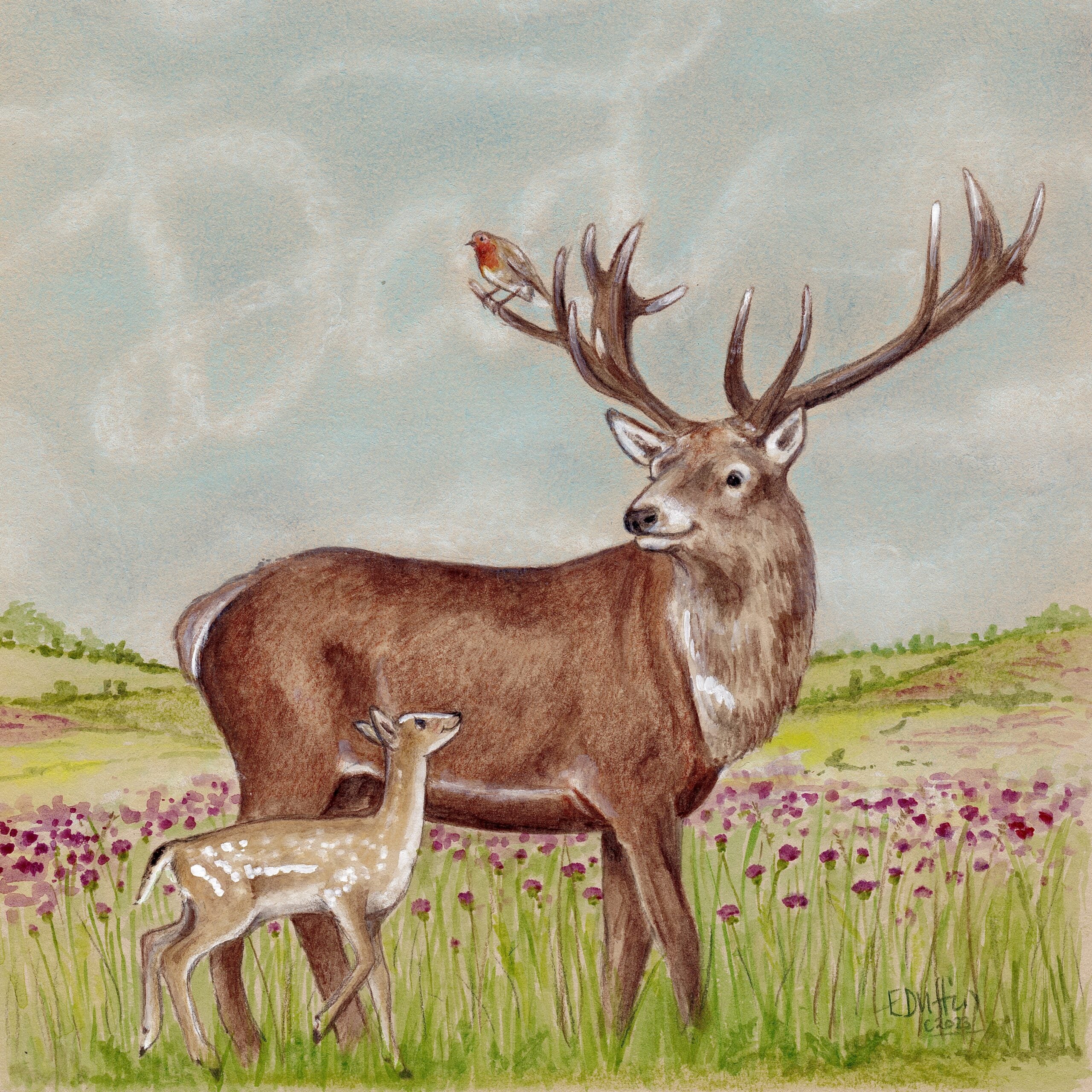 Emily Duffin Country Illustrations