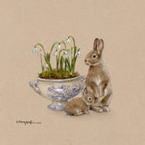 Emily Duffin Country Illustration