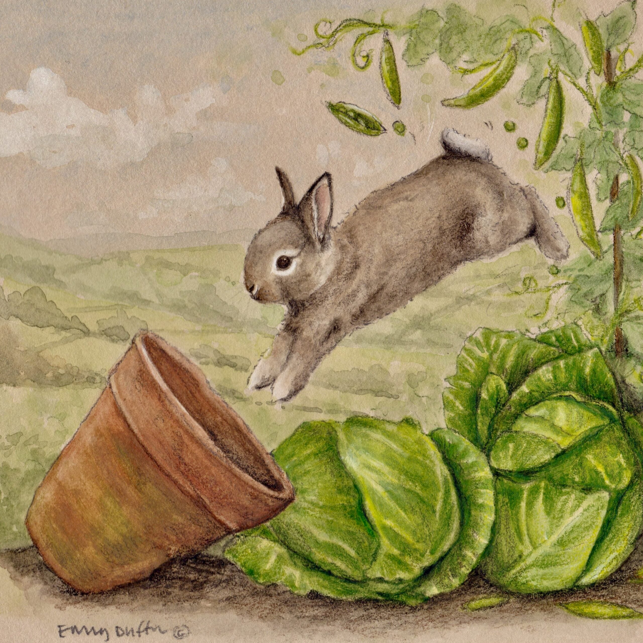 Emily Duffin Country Illustration