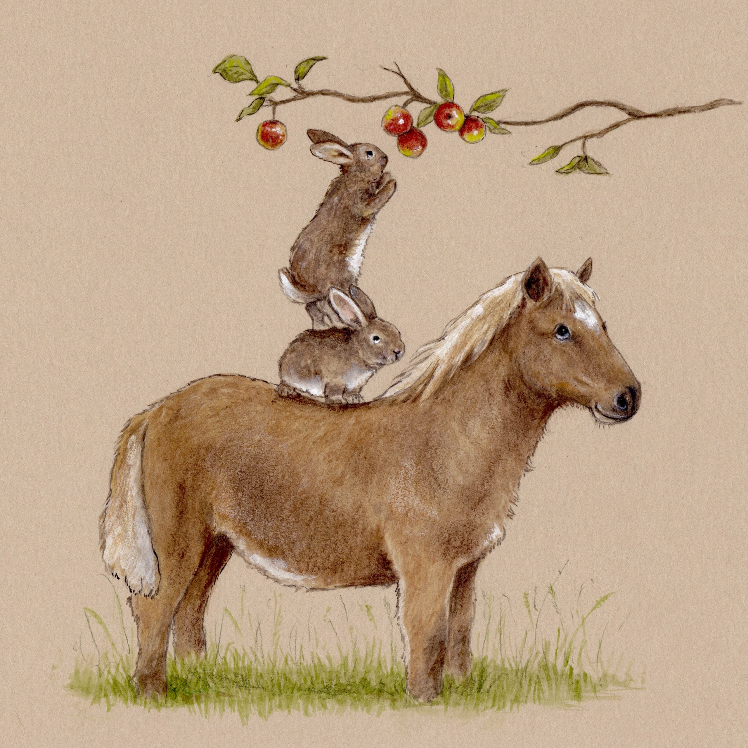 Emily Duffin Country Illustrations