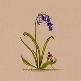 The Bluebell Bonnet