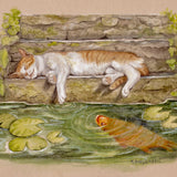 The Curious Carp