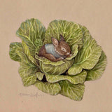 Framed Mini Print - Sleeping Baby Bunny