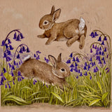 Framed Mini Print - Cotton Tails In The English Bluebells
