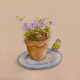 A Little Nest