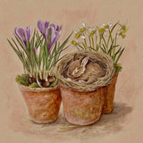 Fine Art Print - A Quiet Spring Morning