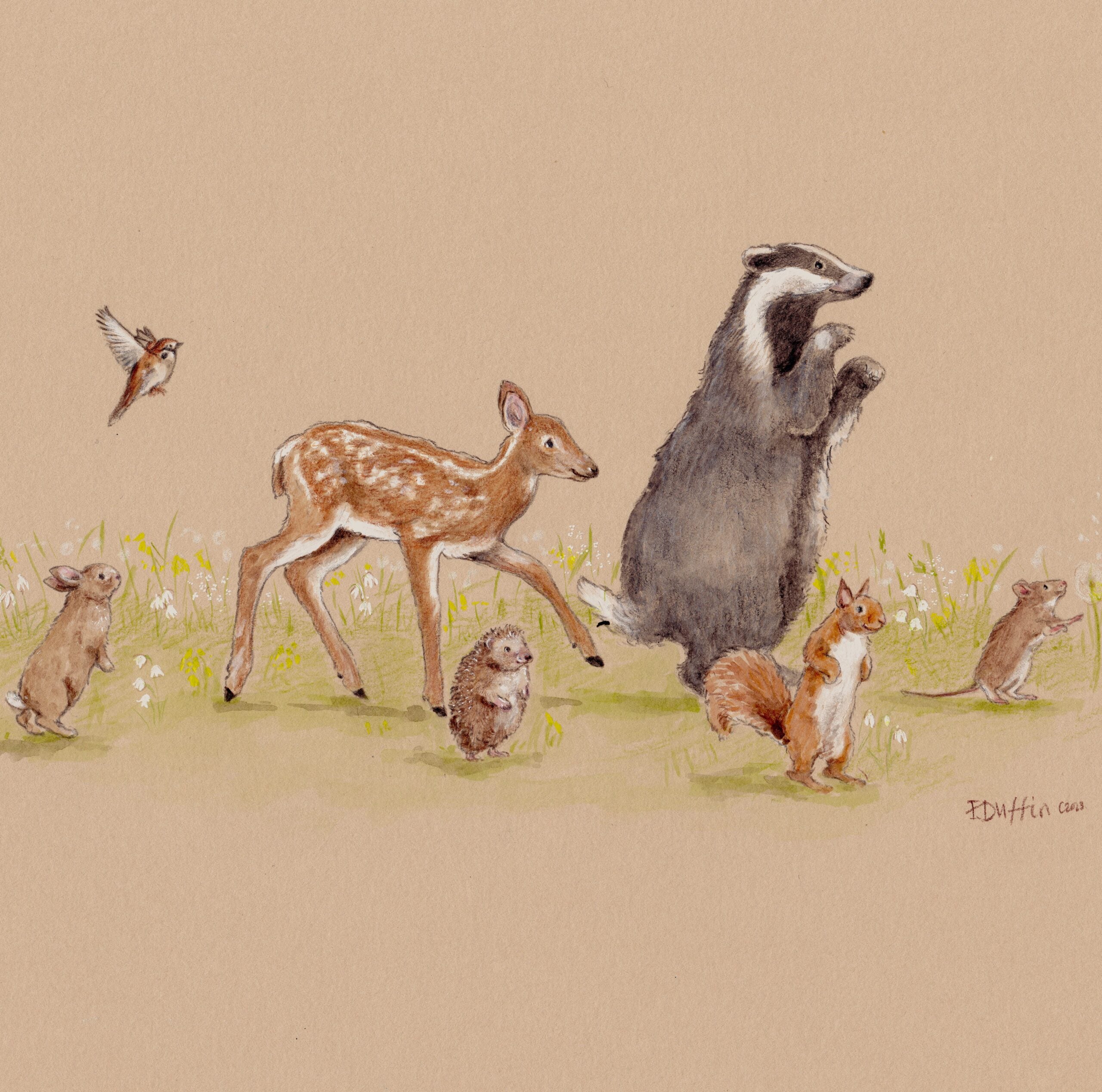 Emily Duffin Country Illustrations