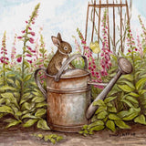 The Old Watering Can