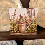 The Old Watering Can