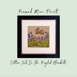 Framed Mini Print - Cotton Tails In The English Bluebells