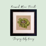 Framed Mini Print - Sleeping Baby Bunny